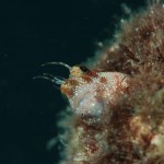 ｍａｔｓｕーshimi